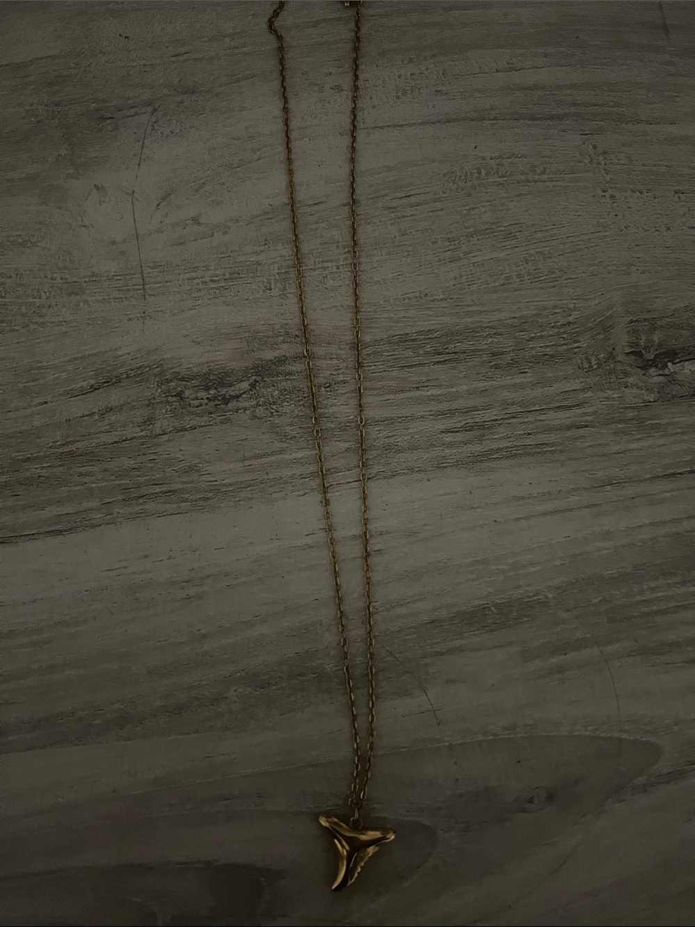 gold shark tooth stainless necklace